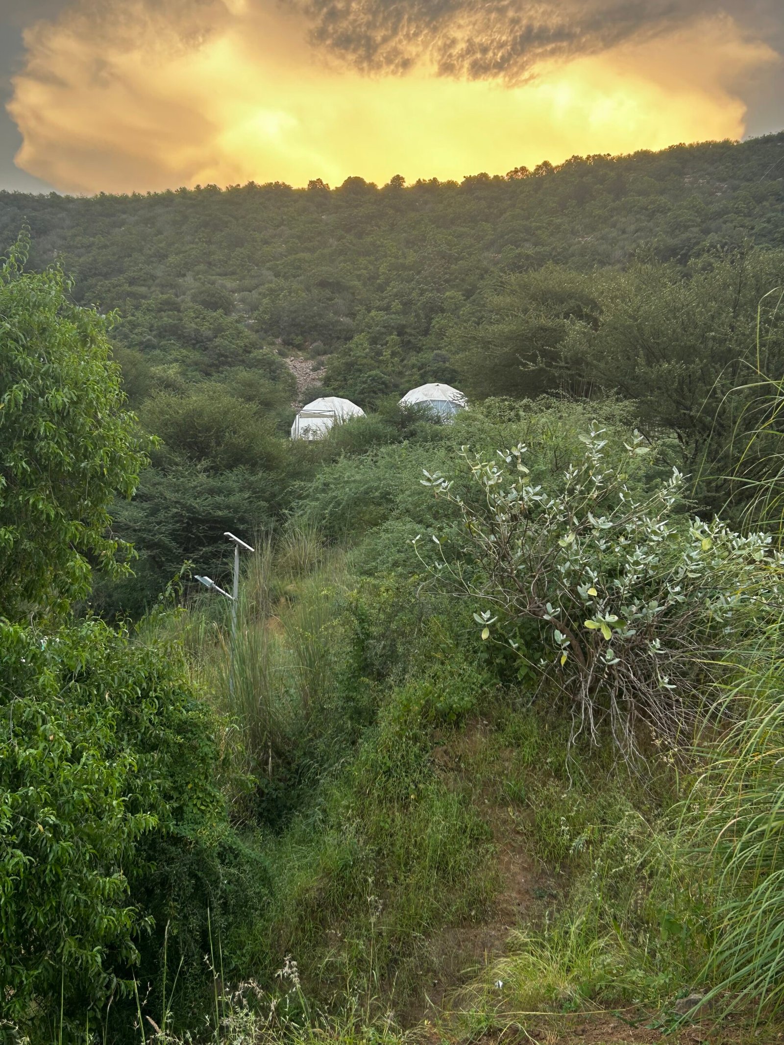 Camping Tents