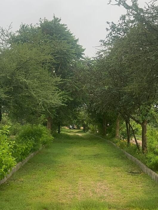 WhatsApp Image 2025-09-08 at 21.24.34