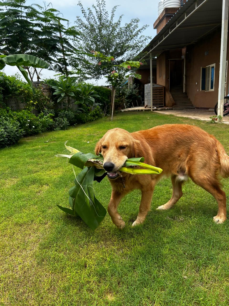 WhatsApp Image 2025-09-08 at 21.24.35 (2)