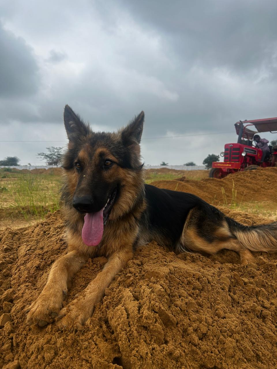 WhatsApp Image 2025-09-08 at 21.24.35